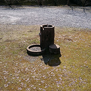 水飲み場・手洗い場